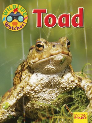 cover image of Toad